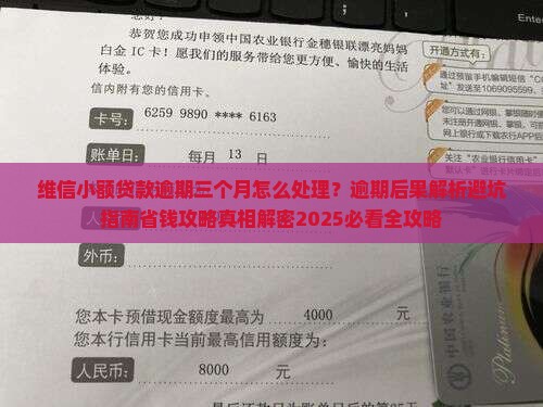 维信小额贷款逾期三个月如何处理