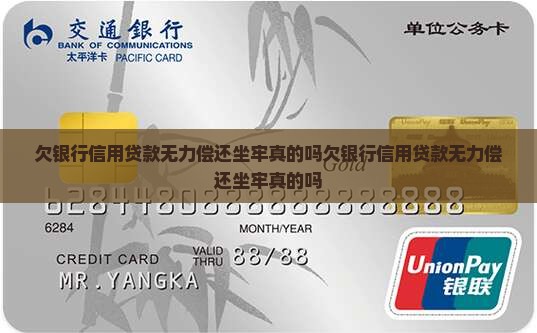 欠银行信用贷款无力偿还坐牢真的吗