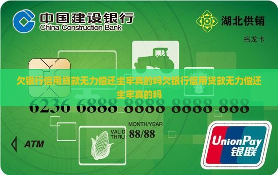 欠银行信用贷款无力偿还坐牢真的吗