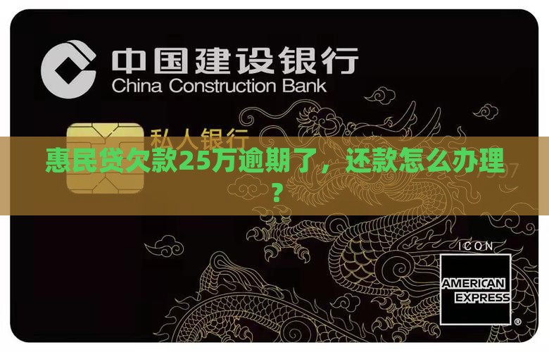 惠民贷欠款25万怎么办理还款
