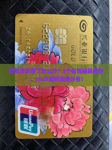 微粒贷可以停息延期还款吗