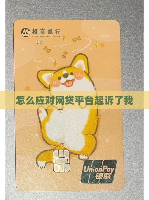 网贷平台起诉我了怎么应对