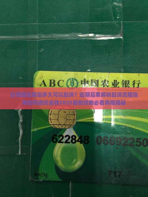白领通逾期后多久可以起诉