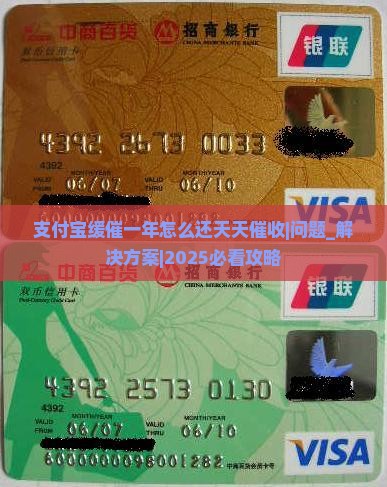支付宝缓催一年怎么还天天催收如何解决
