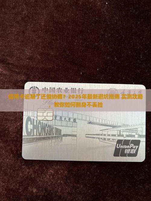 信用卡逾期还款后如何协商