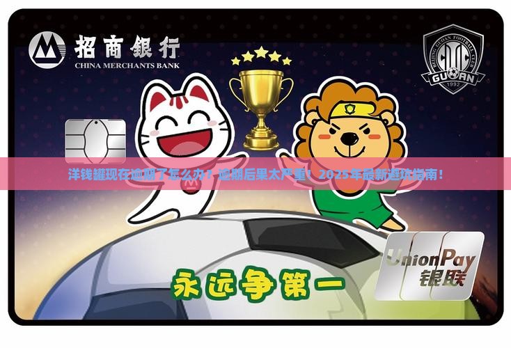 洋钱罐现在逾期了怎么办怎么办