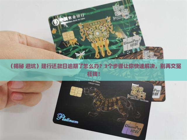 建设银行还款日逾期还款会怎样处理