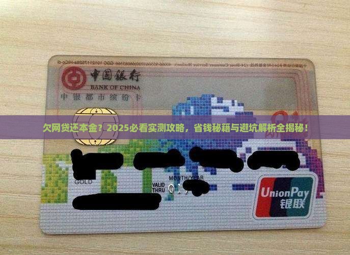 欠网贷还本金