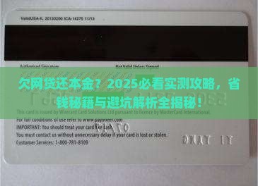 欠网贷还本金