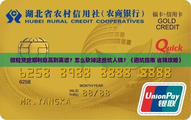 微粒贷逾期利息那么高怎么办减少逾期利息