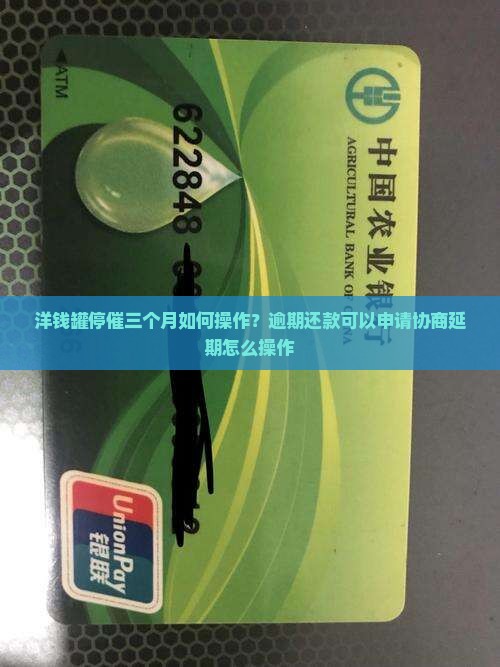 洋钱罐停催三个月如何操作