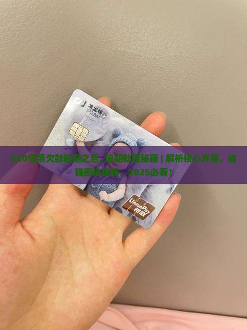 360借条欠款逾期之后