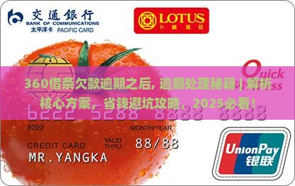 360借条欠款逾期之后