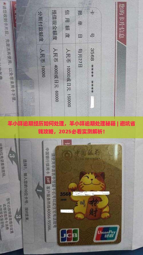 羊小咩逾期经历如何处理