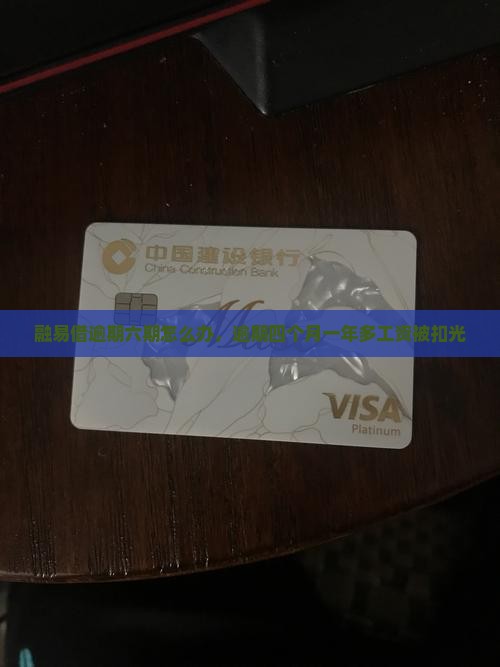 融易借逾期六期怎么办