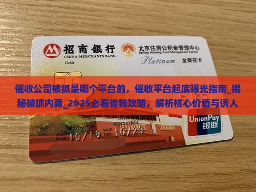 催收公司被抓是哪个平台的