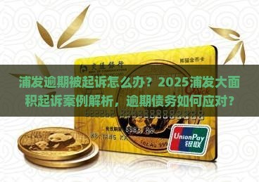 浦发大面积起诉逾期案例分析