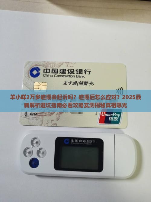 羊小咩2万多逾期会起诉吗