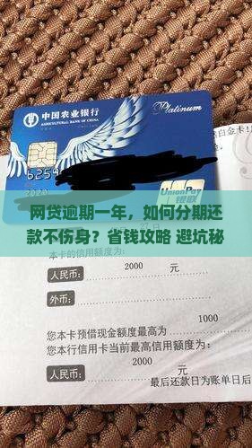 网贷逾期一年如何分期还款