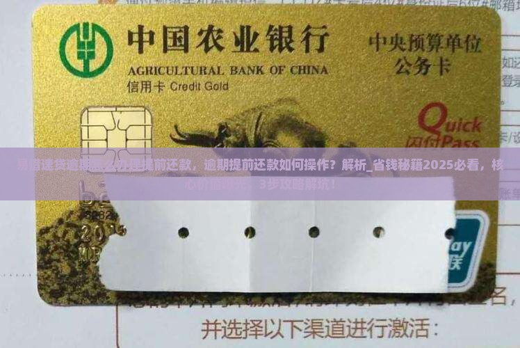 易借速贷逾期怎么办理提前还款