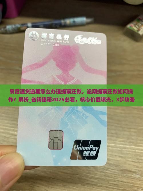 易借速贷逾期怎么办理提前还款