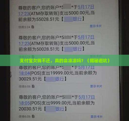 支付宝欠钱无力偿还的后果有哪些