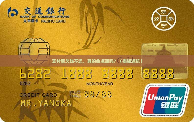 支付宝欠钱无力偿还的后果有哪些