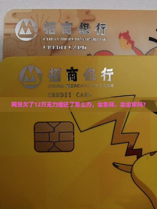 网贷欠了12万无力偿还了