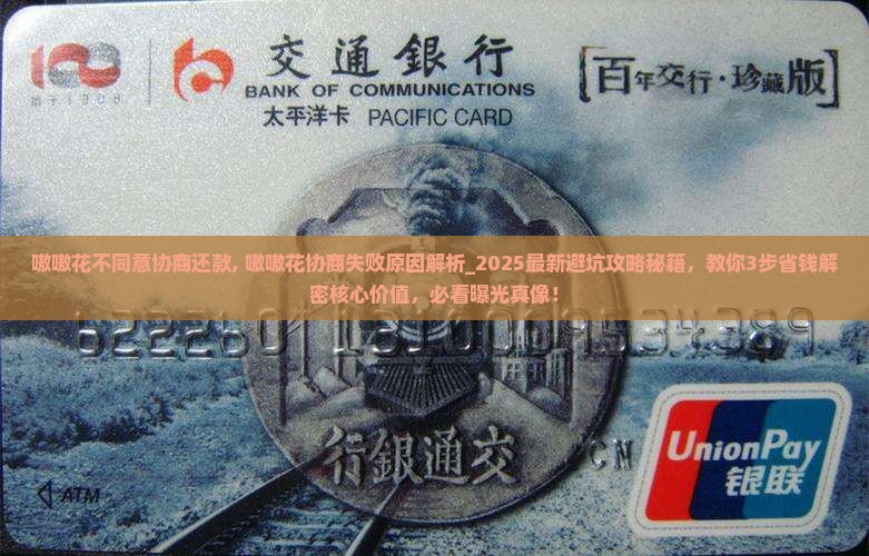 嗷嗷花不同意协商还款