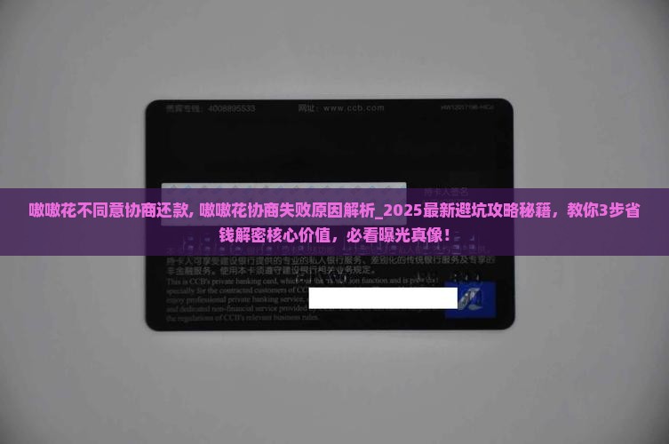 嗷嗷花不同意协商还款