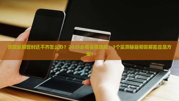 贷款逾期暂时还不齐怎么办