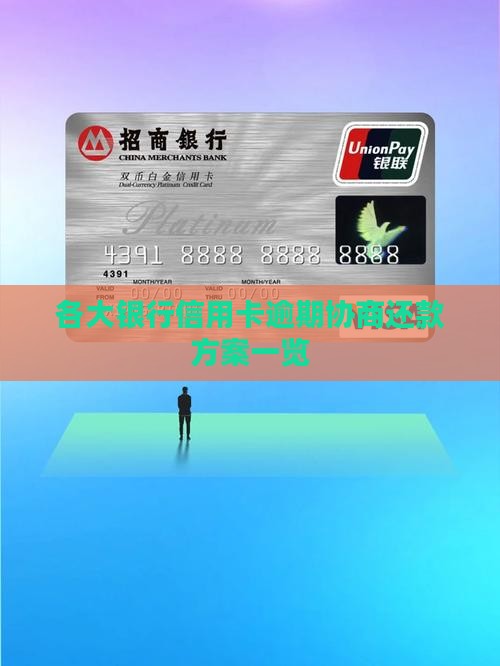 各银行逾期还款方案一览
