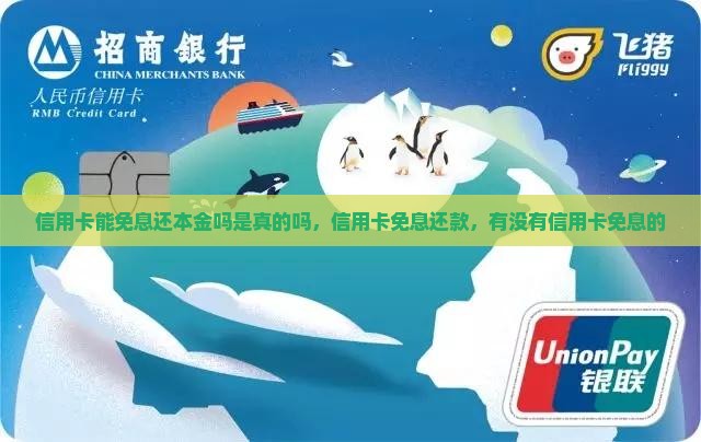 信用卡能免息还本金吗是真的吗