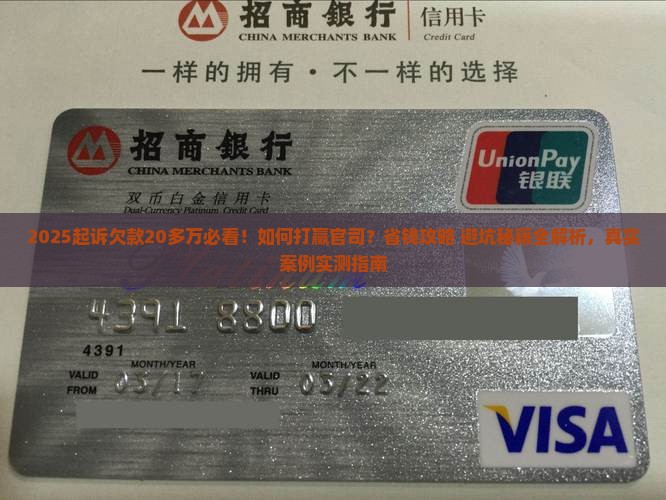 起诉欠款20多万