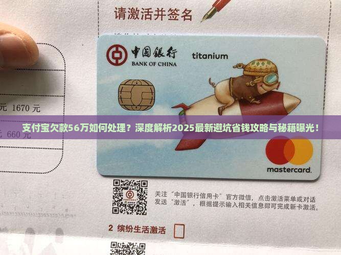 支付宝欠款56万如何处理