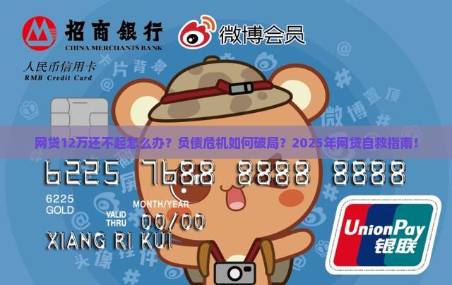 网贷12万还不起怎么办