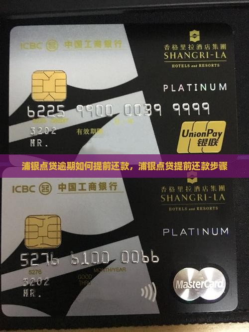 浦银点贷逾期如何提前还款