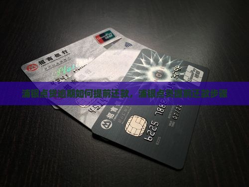浦银点贷逾期如何提前还款