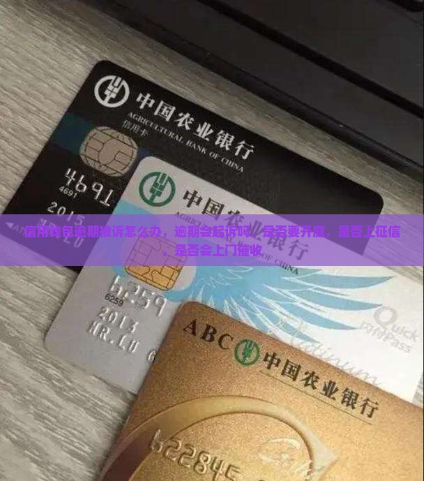 信用钱包逾期被诉怎么办