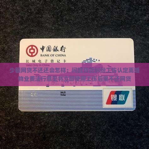 少额网贷不还会怎样