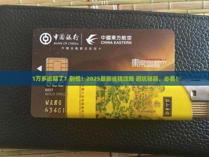 微粒贷1多万逾期应该怎么处理