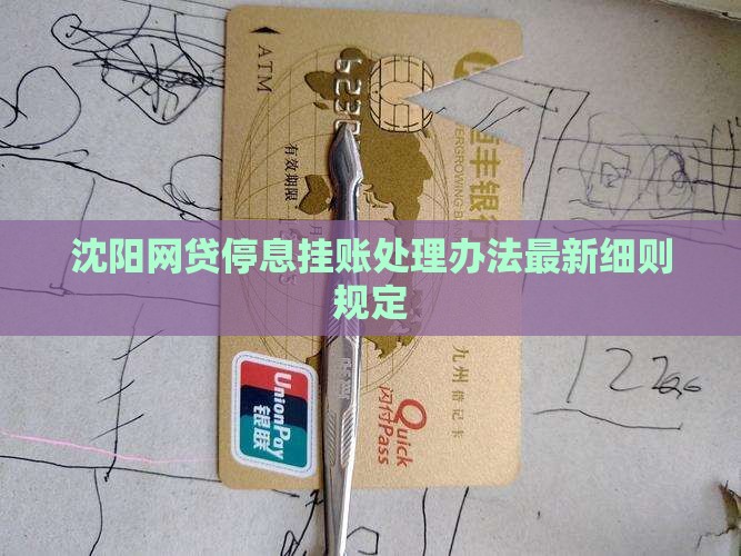 沈阳网贷停息挂账处理办法