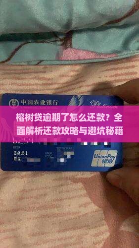 榕树贷逾期了怎么还款需要注意哪些问题 榕树贷逾期了怎么还款需要注意哪些问题