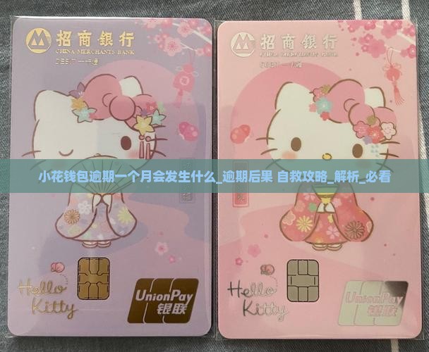 小花钱包逾期一个月会发生什么