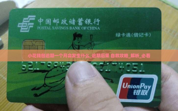 小花钱包逾期一个月会发生什么
