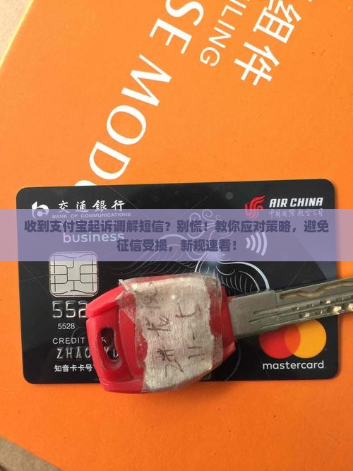 支付宝收到起诉调解短信该如何处理
