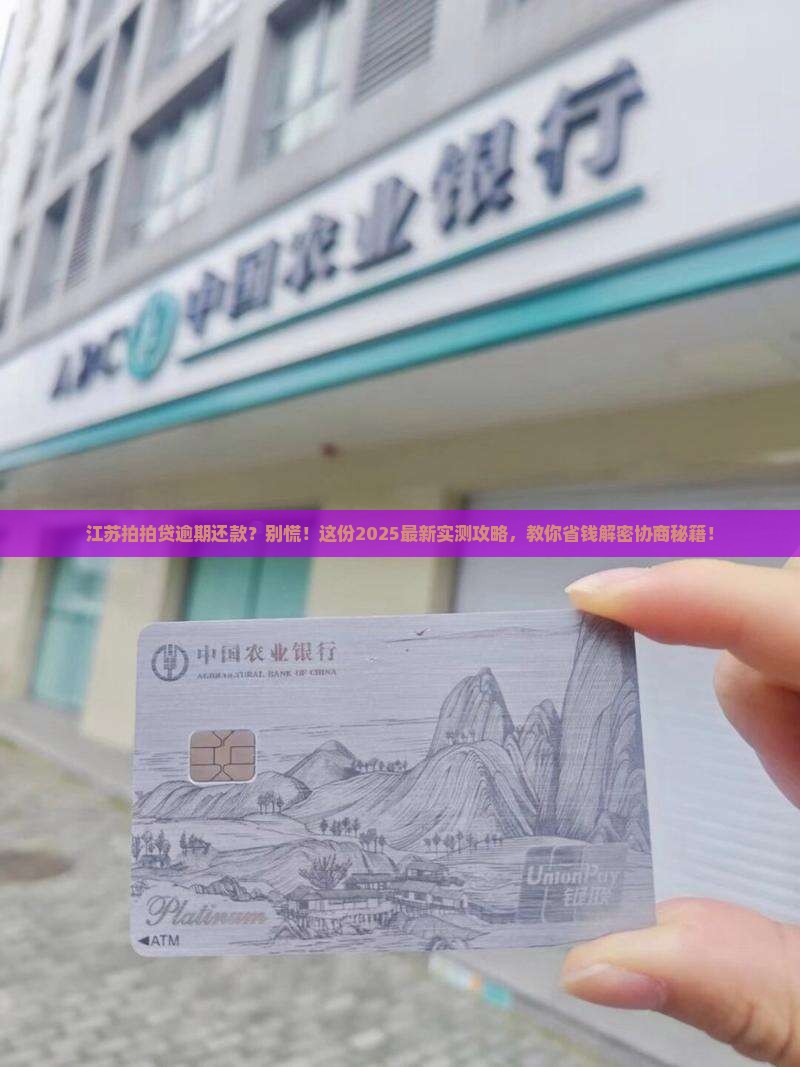 江苏拍拍贷逾期如何协商还款