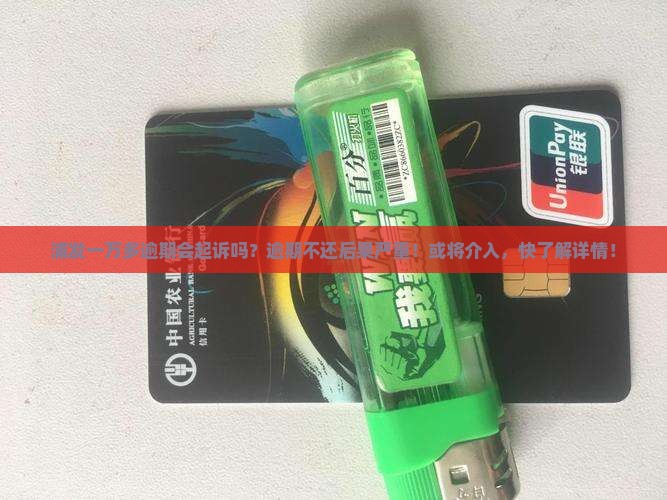 浦发一万多逾期会起诉吗
