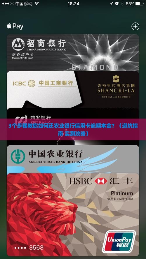 农业银行信用卡逾期后怎么还本金 农业银行信用卡逾期后怎么还本金