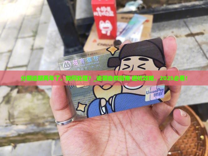 分期逾期两年了如何处理